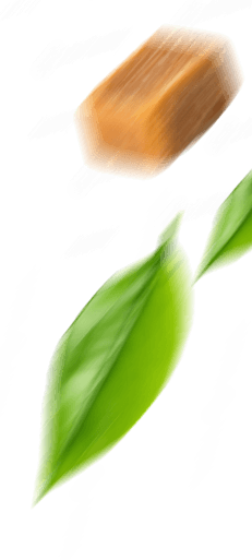 shape-img